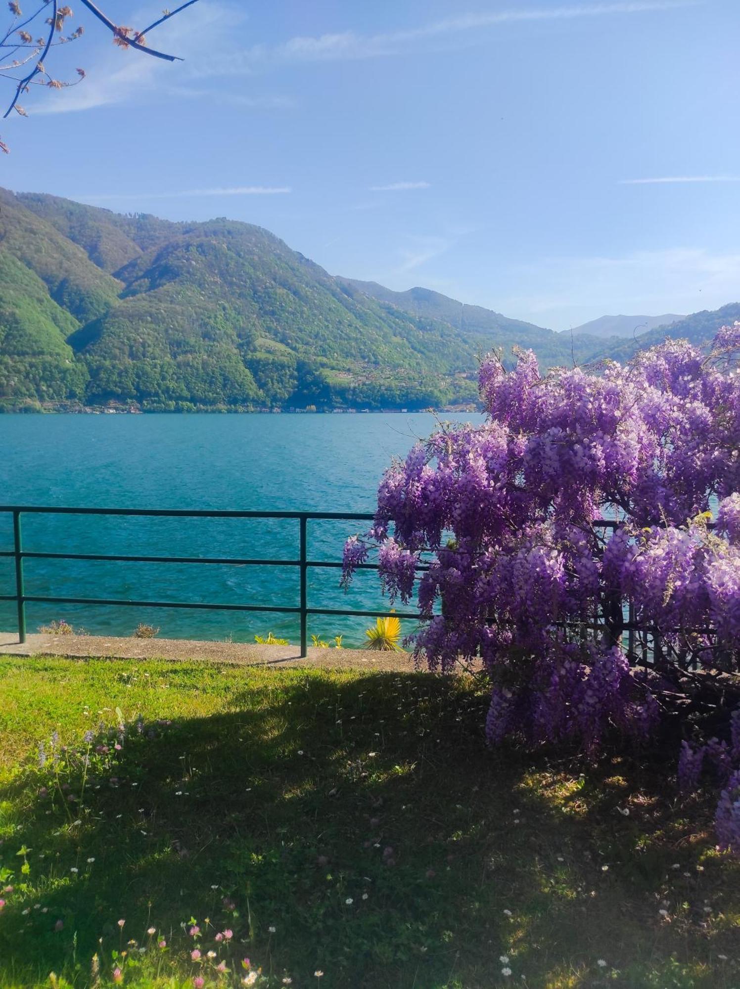 Lfsuite Luganolake Terrazza Spiaggia Privata Parking Wi-Fi Netflix Порлецца Экстерьер фото